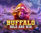 Buffalo Hold and Win